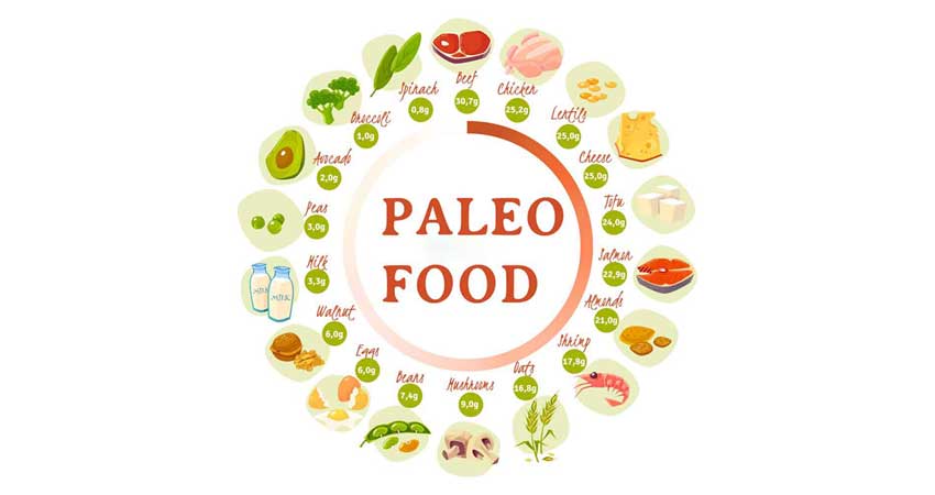 رژیم پالئو (Paleo diet) | آشنایی با رژیم غذایی غارنشینی