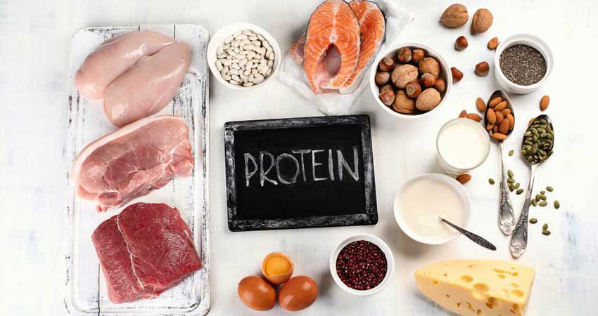 رژیم پروتئین سه روزه به همراه نمونه برنامه غذایی