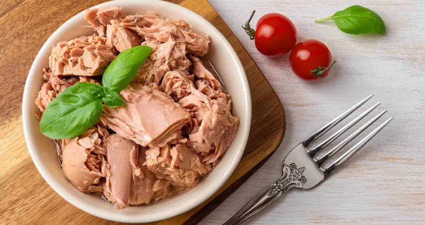 بهترین تن ماهی رژیمی