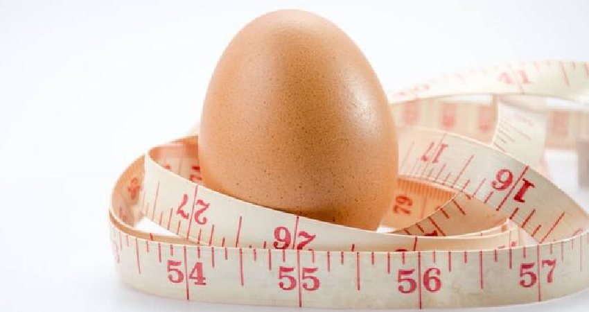 رژیم تخم مرغ چیست و چگونه باعث کاهش وزن می شود؟