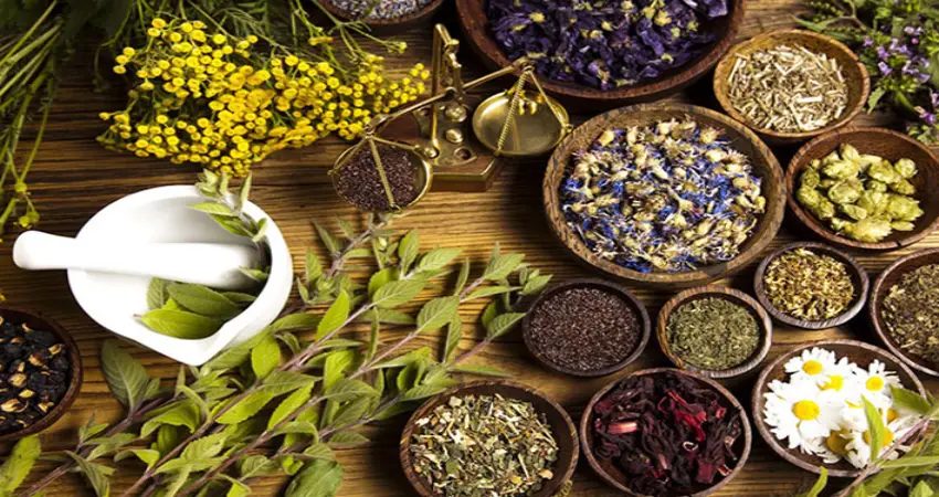 داروی گیاهی برای چاق شدن مچ دست