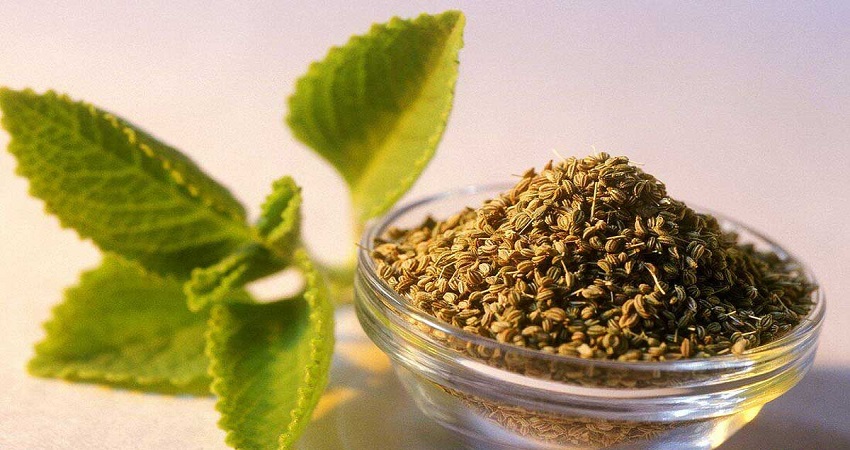 خواص زنیان: فواید، کاربردها و تأثیرات آن بر سلامت
