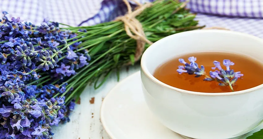 دمنوش اسطوخودوس برای چی خوبه