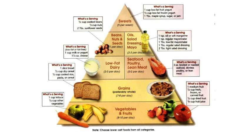 رژیم دش Dash چیست؟