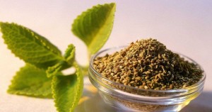 خواص زنیان: فواید، کاربردها و تأثیرات آن بر سلامت