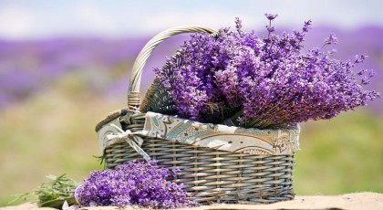 خواص اسطوخودوس