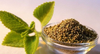 خواص زنیان: فواید، کاربردها و تأثیرات آن بر سلامت