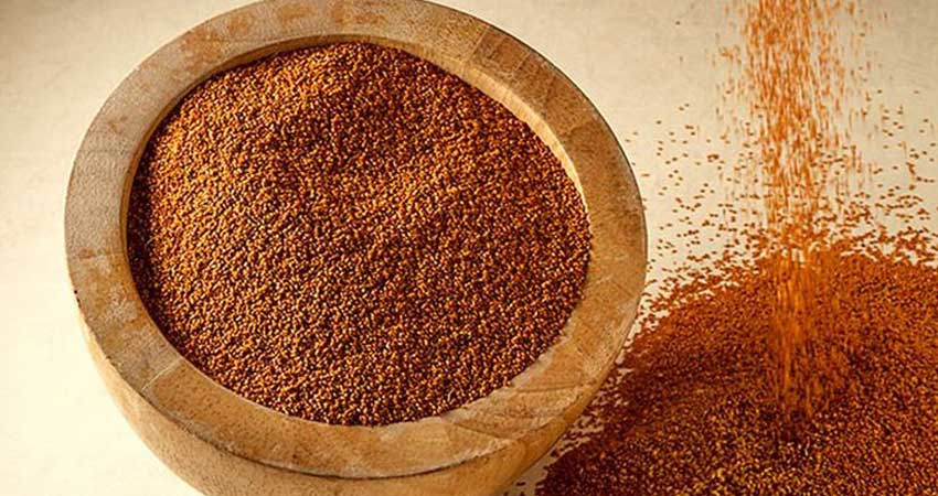 نحوه مصرف خاکشیر برای لاغری